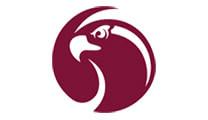 SPU falcon logo